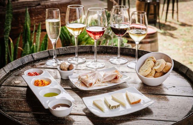 Degustación en la Casa del Vino - Foto 5