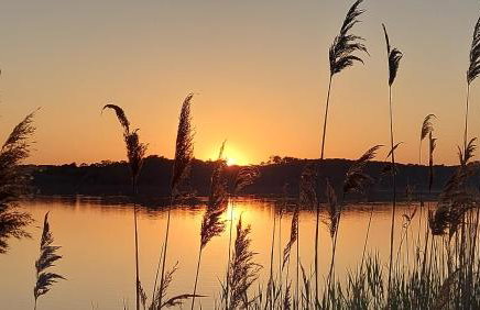 T2, 50m du lac, PISCINE, WIFI, jardin terrasse sans vis-à-vis, 1 à 4 pers - Photo 2