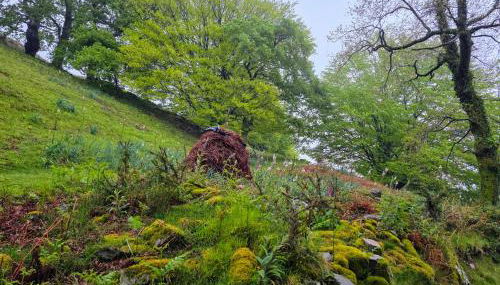 CASA RURAL Urruska - Foto 3
