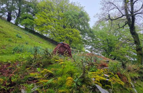 CASA RURAL Urruska - Foto 3