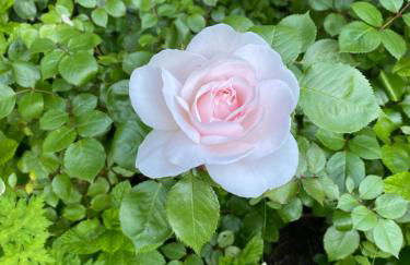 Logement Loire climatisé, La Halte de Cuze, aux abords de la Loire a vélo - Foto 38