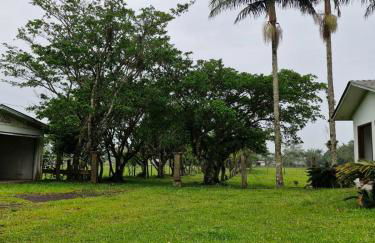 Recanto Bamboo Verde - Foto 8