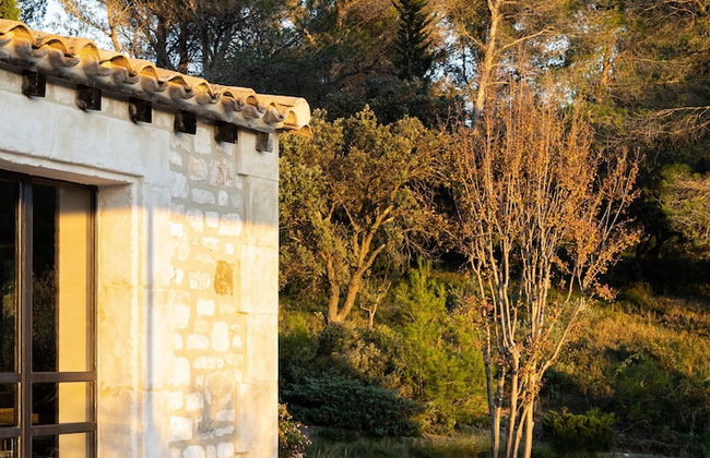 Le Mas des Baux - Foto 24