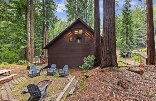 Redwood Retreat in Gualala - Foto 29