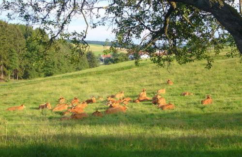 2 Siefertshof Comfortable Holiday Residence - Foto 36