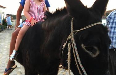 Casadasfurnazinhas - Foto 52