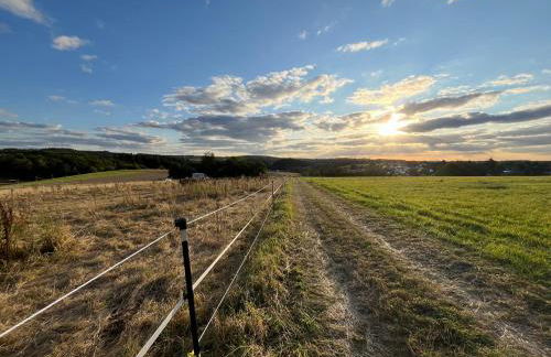 Ferienwohnung auf dem Bauernhof - Hermanns Lodge - Foto 25