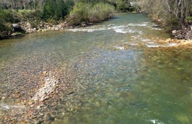 Quinta-lina de serpins - Foto 72