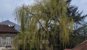 Appart95 Saint-Brice CDG France - Foto 4, Garden view