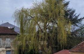 Appart95 Saint-Brice CDG France - Foto 4