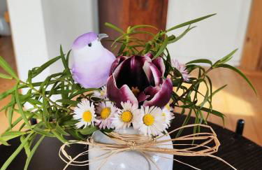 Au chant des oiseaux - rouge gorge - Foto 21