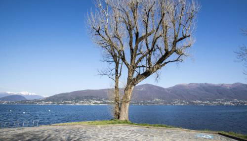 Casa Lea - Foto 5, Other