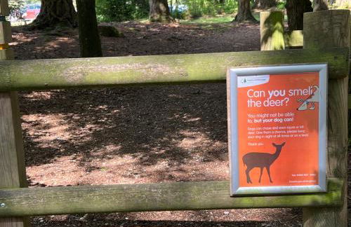 Jungle lodge - Photo 58