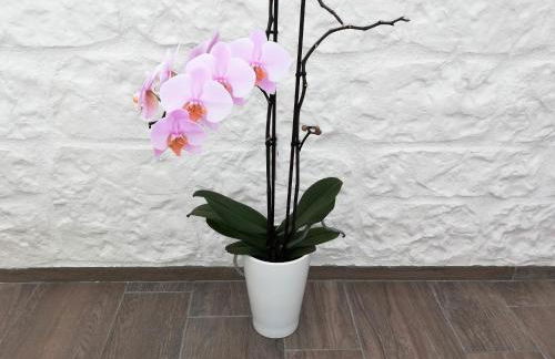 Dimora Quattro Fontane - Foto 13