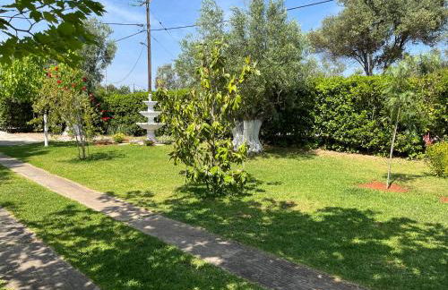 Les Olives Woodhouse - Foto 8