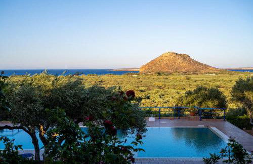 Olive Garden Houses - Photo 47