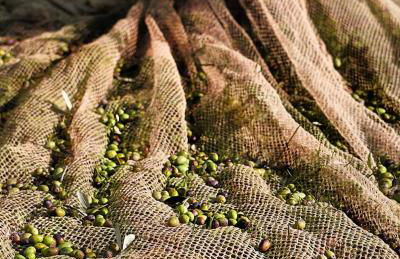 Agriturismo Conca Sandra - Farm Stay on Lake Como - Foto 28