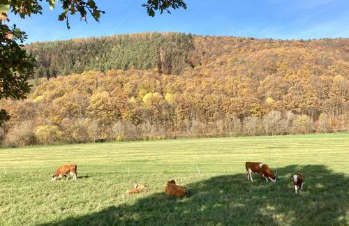 Ferienwohnung Dorfblick Bad Bocklet - Foto 22
