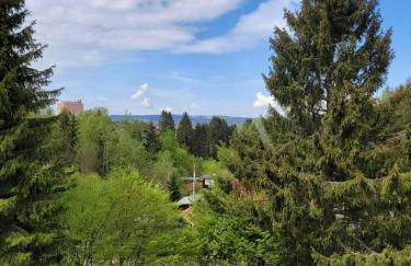 Eulennest,Parkplatz,Wäschepaket,Reinigung inklusive - Foto 40