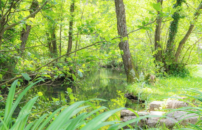 House Mavko Near Lake Cerknica - Foto 18