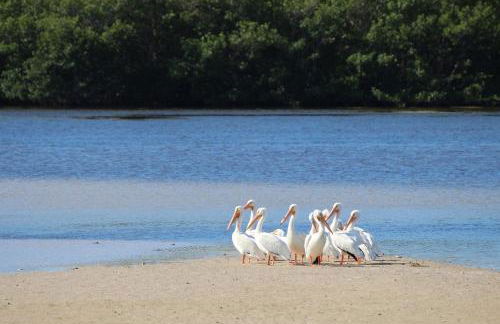 Wonderful Private Home - Sunset Captiva 47 - Foto 55