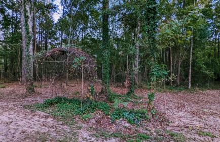 Auburn Alumni House on 20 acres - Foto 52