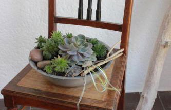 Bi Minna to Huus - Foto 14