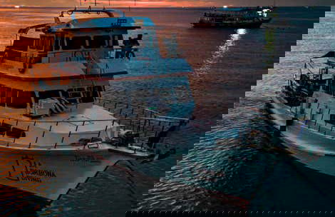 Snorkel em Koh Tao - Foto 1