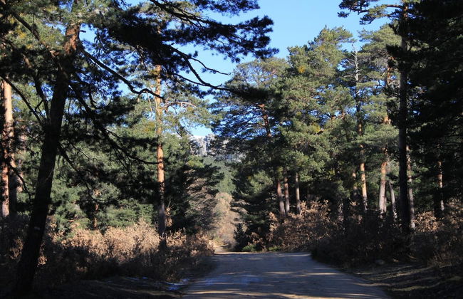 Eco Urbión - Foto 39