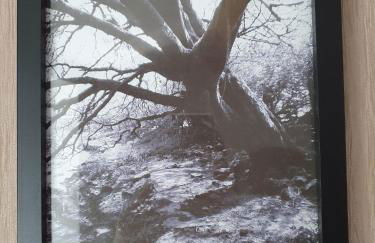 Wales' Highest Village - The Chartist Cottage - Trefil - Photo 28