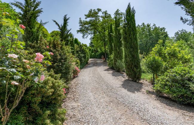 Villa Lavinia - Foto 37