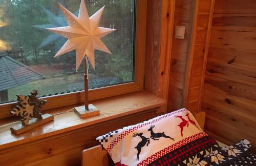 Deluxe Holiday Zdrojowa -Willa typu Alpejskiego w Borach Tucholskich-Całoroczna Balia z jacuzzi-Prywatny las i strumyk -Duża Wiata grillowa - Foto 41