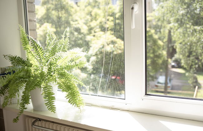 Aura City Center Tartu Holidays - Foto 33