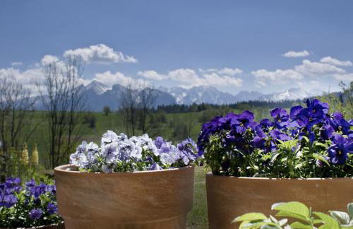 Nowe Miejsce Brzegi - Foto 19