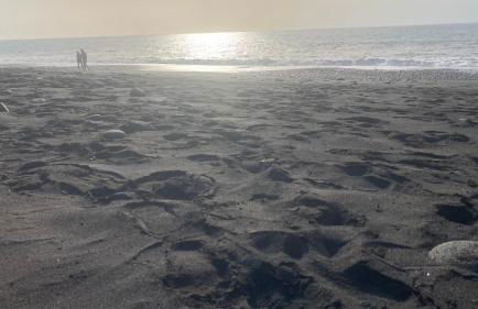 Apartamento Los Guirres - Foto 41