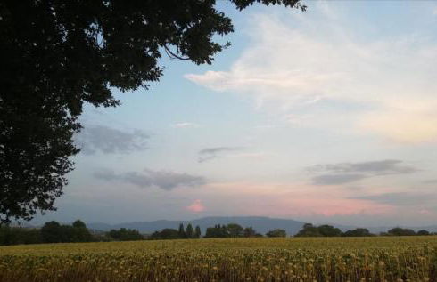 Casa Vacanze "Dimora Quercia" - Villino "Quercia" - Foto 38