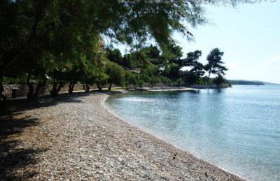 Apartment Novaković - Photo 11