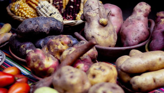 Detalhe de batatas peruanas