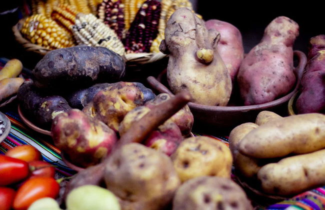 Laboratorio di fotografia documentaria a Ollantaytambo - Foto 3