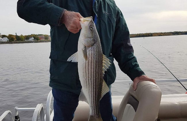 Striper Fishing & Hunting Lodge - Foto 16