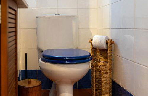 Charmingly Renovated Village House in Sintra, Penedo - Photo 45