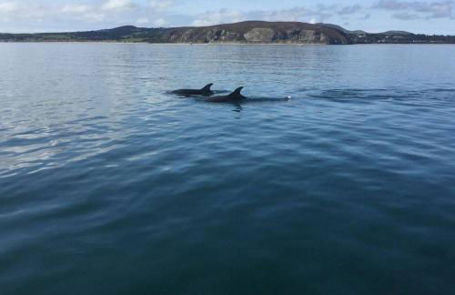 The Piggery - North Wales Retreat - Wilde Retreats - Photo 58