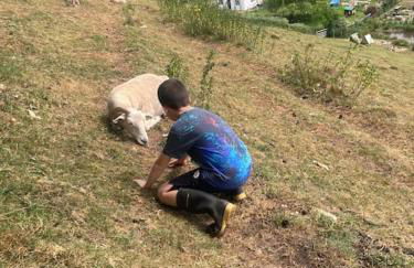 Ruby's Retreat! Farm Stay! North devon! Sleeps 6! Beaches Exmoor! - Foto 42