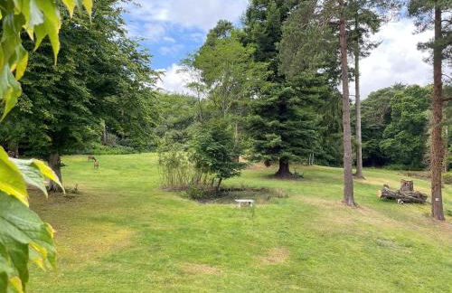 Deer Leap House - Photo 69