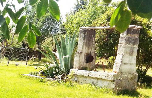 La Dimora dei Gelsi - Foto 24