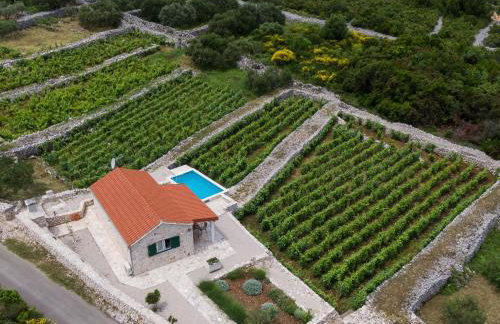 Vineyard House & Olive Grove House - Photo 9