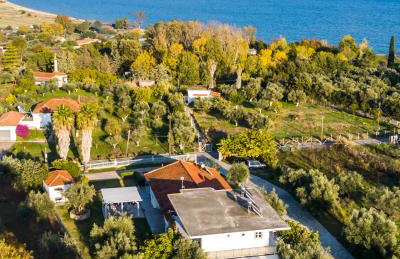 Anastasios Olive Garden Apartments - Foto 55