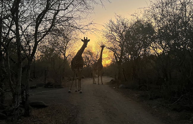 Kruger Kumba - Lahlekile Nathi - Photo 63