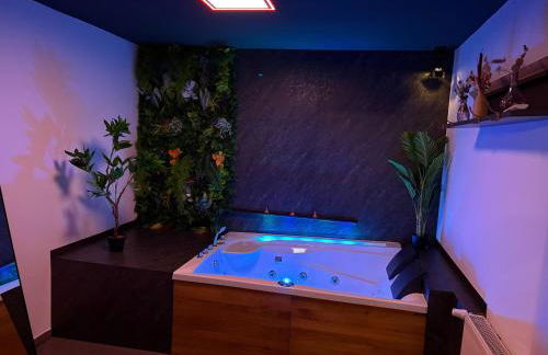 Wellnesshaus - Whirlpool - Sauna - Relax - Foto 10