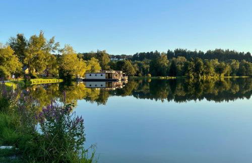 Waidlerland Waldkirchen Chalets - Foto 2